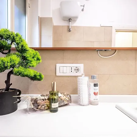 公寓 King Size Wifi Air Conditioning Tv50 10min Colosseo-trastevere *